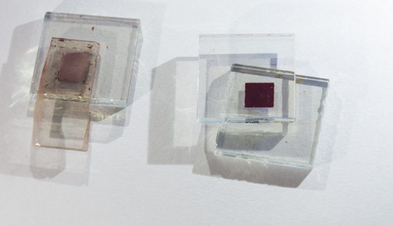 Pequenos pedaços de vidro contendo células fotovoltaicas com corante (Foto: Viktor Braga/UFC)