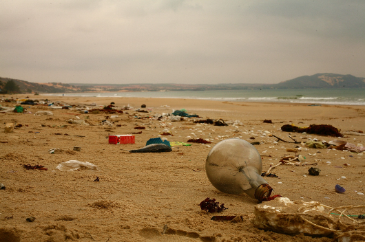 Lixo jogado na praia