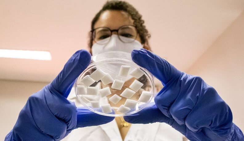 Em primeiro plano, mãos com luva seguram uma placa de petri com pequenas pastilhas brancas, os curativos ósseos, Ao fundo, desfocada, a pesquisadora Erika Luz