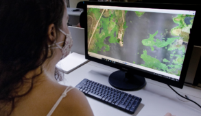 Imagem mostra pesquisadora em primeiro plano, de costas, olhando tela de computador. Na tela, é possível ver a imagem aérea de um açude, com vegetação em parte do espelho d'água. (Foto: David Motta/UFC Informa)