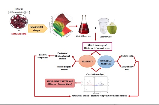 Infográfico explicando as etapas para a produção da bebida mista de chá de hibisco e água de coco