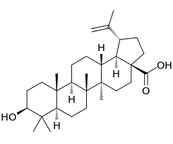 Representação gráfica do ácido betulínico