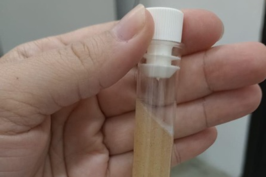 Imagem: de uma mão segurando uma amostra de sabonete líquido orgânico, natural e vegano, contendo microcápsulas à base de cera de carnaúba e ácido kójico