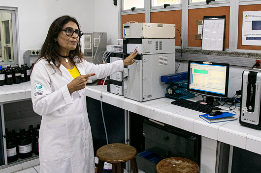 A síntese total da molécula em grande escala está sendo desenvolvida pelo Laboratório de Biotecnologia e Síntese Orgânica da UFC (LABS), sob a coordenação da Profa. Maria da Conceição F. Oliveira (Foto: Ribamar Neto/UFC)