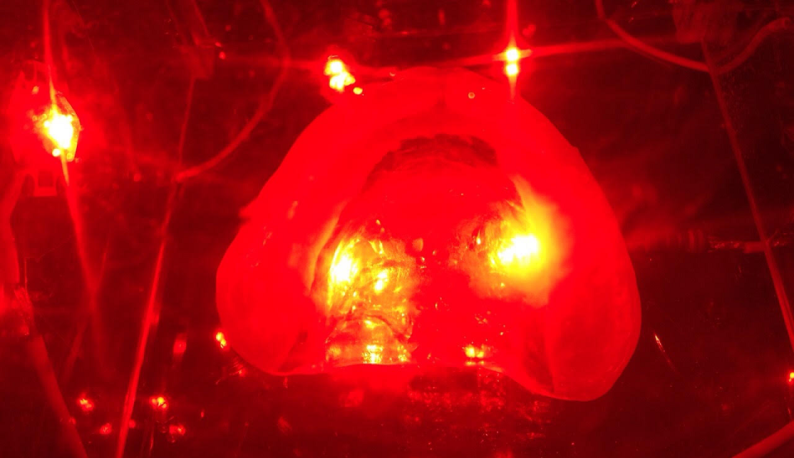 Prótese dentária dentro de caixa iluminada por LEDs vermelhos