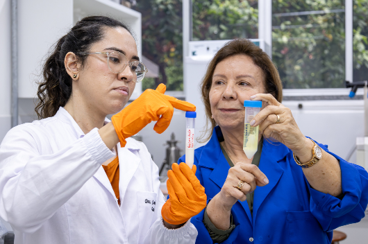 Pesquisadoras mostram o óleo de tilápia puro e a sua nanoformulação em tubos