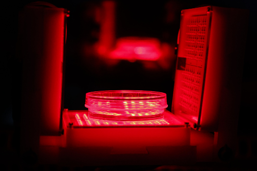 Imagem de amostra sendo submetida à luz vermelha em laboratório