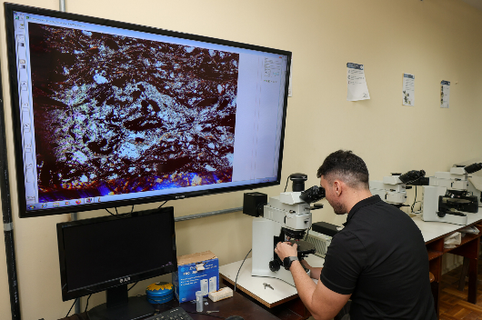 Pesquisador olha lâmina em microscópio e imagem é reproduzida em telão
