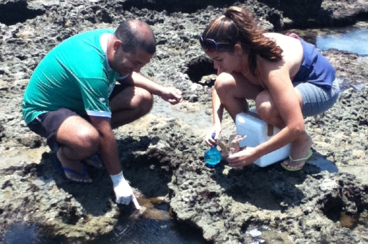 Pesquisadores fazendo coleta de amostras em uma praia