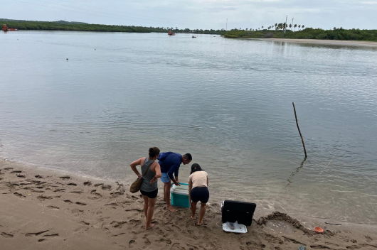 Pessoas na margem no rio recolhendo amostras de caranguejos